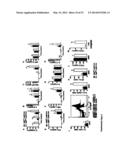 METHODS OF TREATING AUTOPHAGY-ASSOCIATED DISORDERS AND RELATED     PHARMACEUTICAL COMPOSITIONS, DIAGNOSTICS, SCREENING TECHNIQUES AND KITS diagram and image