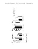 METHODS OF TREATING AUTOPHAGY-ASSOCIATED DISORDERS AND RELATED     PHARMACEUTICAL COMPOSITIONS, DIAGNOSTICS, SCREENING TECHNIQUES AND KITS diagram and image