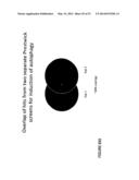 METHODS OF TREATING AUTOPHAGY-ASSOCIATED DISORDERS AND RELATED     PHARMACEUTICAL COMPOSITIONS, DIAGNOSTICS, SCREENING TECHNIQUES AND KITS diagram and image