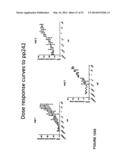 METHODS OF TREATING AUTOPHAGY-ASSOCIATED DISORDERS AND RELATED     PHARMACEUTICAL COMPOSITIONS, DIAGNOSTICS, SCREENING TECHNIQUES AND KITS diagram and image