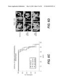 NOVEL EZRIN INHIBITORS AND METHODS OF MAKING AND USING diagram and image