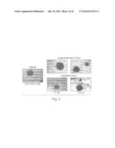 TREATING CANCER WITH AN HSP90 INHIBITORY COMPOUND diagram and image