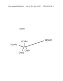 cDNA-DERIVED NUCLEIC ACIDS ENCODING RED-SHIFTED CHANNELRHODOPSINS diagram and image