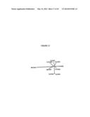 cDNA-DERIVED NUCLEIC ACIDS ENCODING RED-SHIFTED CHANNELRHODOPSINS diagram and image