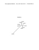 cDNA-DERIVED NUCLEIC ACIDS ENCODING RED-SHIFTED CHANNELRHODOPSINS diagram and image