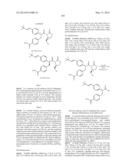 NOVEL ANTAGONISTS OF THE GLUCAGON RECEPTOR diagram and image