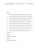 ANTIBODIES FOR BINDING TO NON-FUNCTIONAL P2X7 RECEPTORS IN TRIMERIC FORM diagram and image