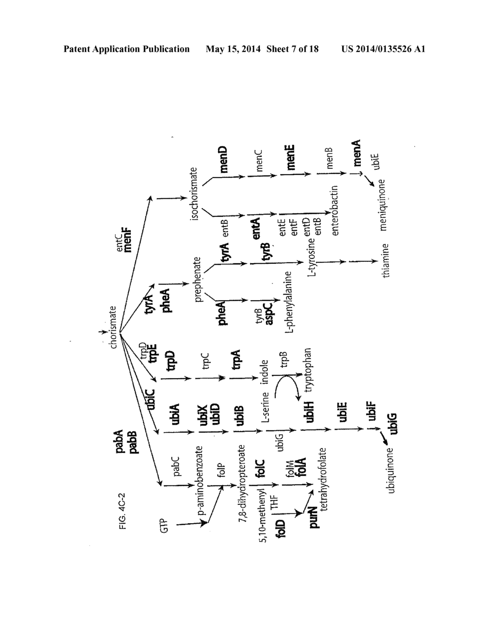 COMPOSITIONS AND METHODS FOR 3-HYDROXYPROPIONATE BIO-PRODUCTION FROM     BIOMASS - diagram, schematic, and image 08