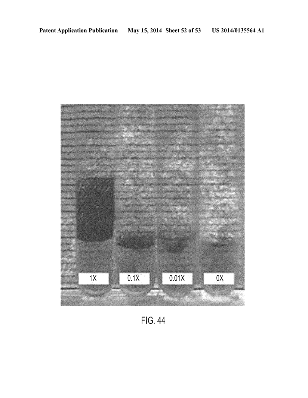 CONTROLLING MAGNETIC NANOPARTICLES TO INCREASE VASCULAR FLOW - diagram, schematic, and image 53