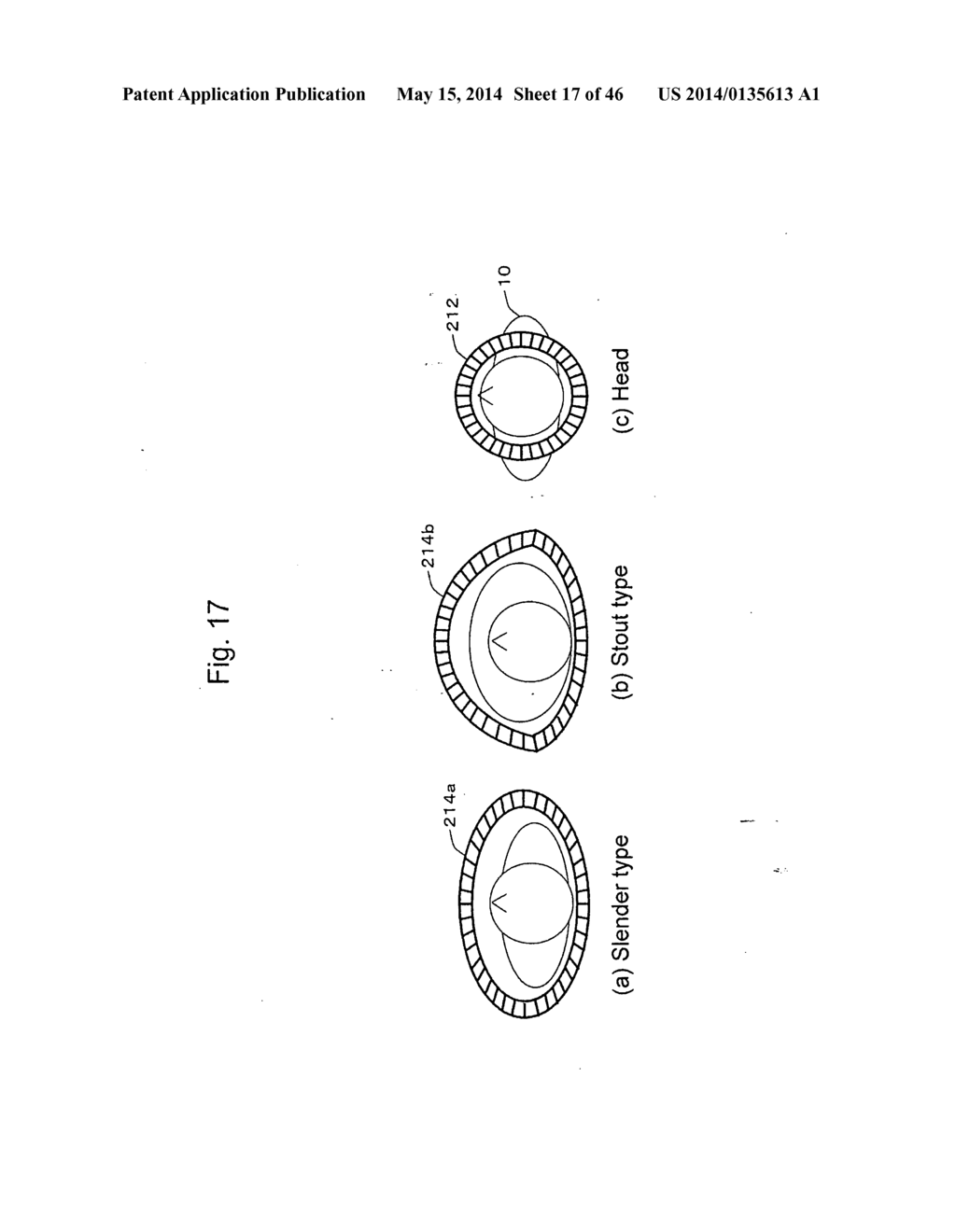 PET/MRI DEVICE, PET DEVICE, AND IMAGE RECONSTRUCTION SYSTEM - diagram, schematic, and image 18