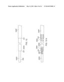 CATHETER WITH FLAT BEAM DEFLECTION IN TIP diagram and image