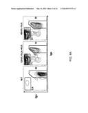 HYBRID LIGHT CHAIN MICE diagram and image