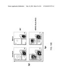 HYBRID LIGHT CHAIN MICE diagram and image