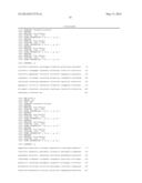 METHODS AND COMPOSITIONS FOR PRODUCING NEMATODE RESISTANT COTTON PLANTS diagram and image