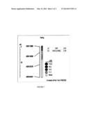 METHOD TO IDENTIFY ASIAN SOYBEAN RUST RESISTANCE QUANTITATIVE TRAIT LOCI     IN SOYBEAN AND COMPOSITIONS THEREOF diagram and image