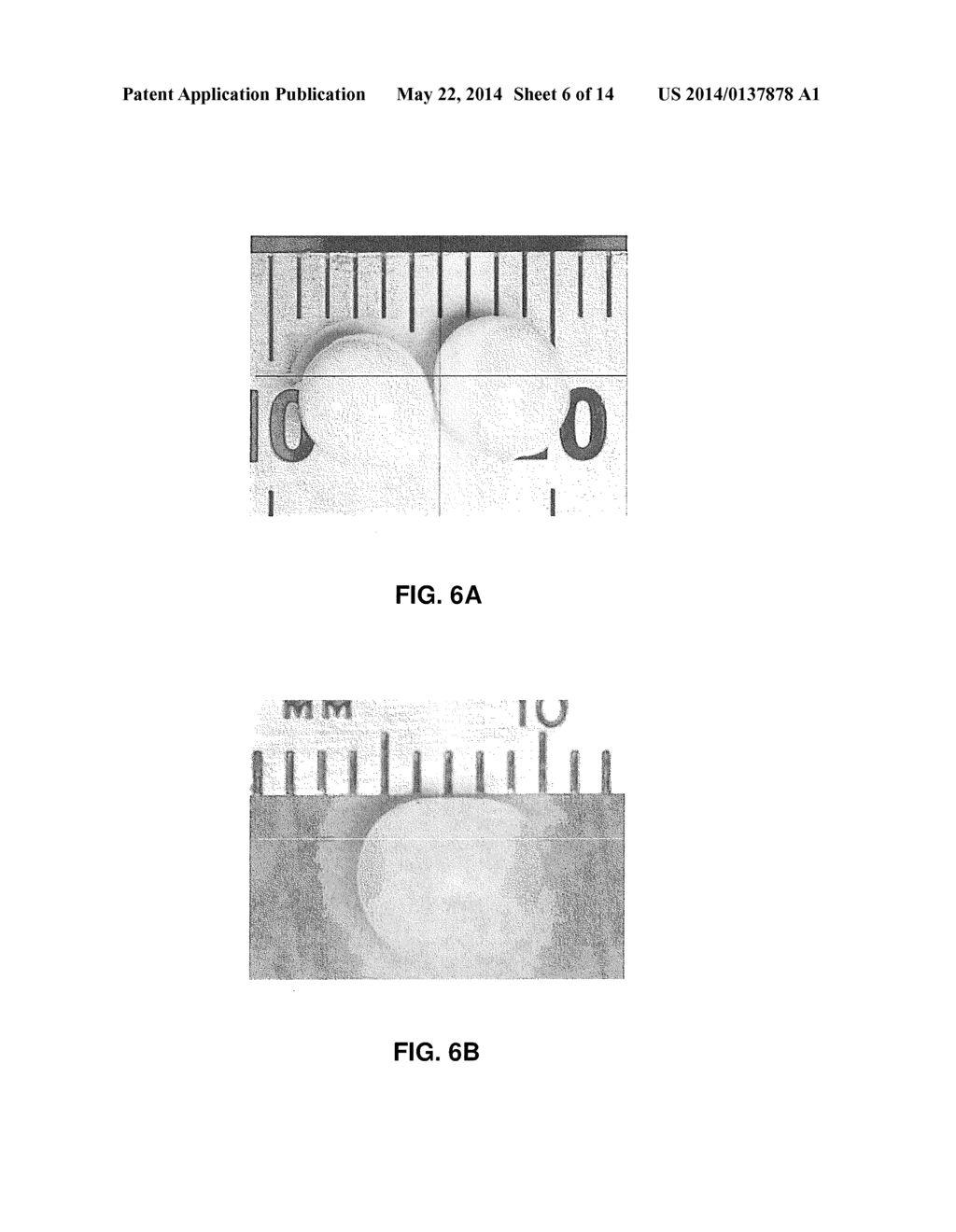 METHOD AND COMPOSITIONS FOR PRODUCING HYDROGEL CAPSULES COATED FOR LOW     PERMEABILITY AND PHYSICAL INTEGRITY - diagram, schematic, and image 07