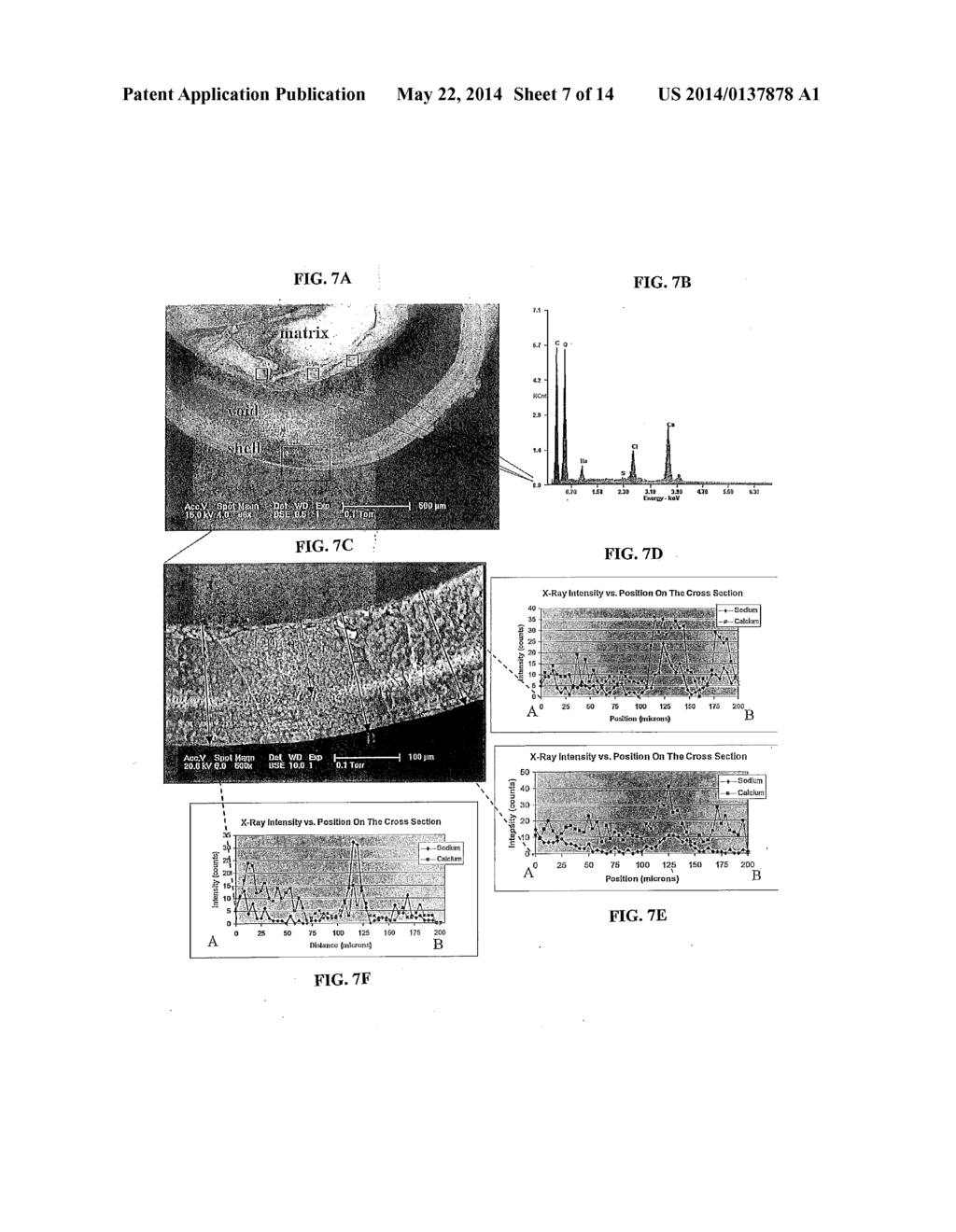 METHOD AND COMPOSITIONS FOR PRODUCING HYDROGEL CAPSULES COATED FOR LOW     PERMEABILITY AND PHYSICAL INTEGRITY - diagram, schematic, and image 08