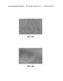 METHOD AND COMPOSITIONS FOR PRODUCING HYDROGEL CAPSULES COATED FOR LOW     PERMEABILITY AND PHYSICAL INTEGRITY diagram and image