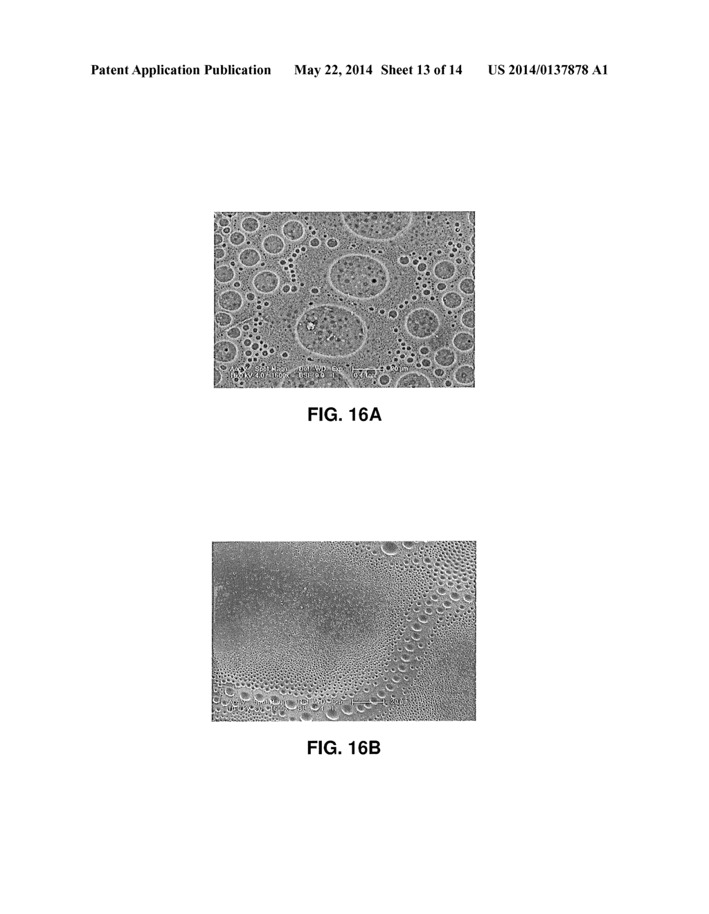 METHOD AND COMPOSITIONS FOR PRODUCING HYDROGEL CAPSULES COATED FOR LOW     PERMEABILITY AND PHYSICAL INTEGRITY - diagram, schematic, and image 14