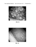 METHODS FOR PROCESSING HETEROGENEOUS MATERIALS diagram and image