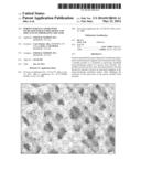 POROUS SURFACE LAYERS WITH INCREASED SURFACE ROUGHNESS AND IMPLANTS     INCORPORATING THE SAME diagram and image