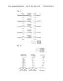 Imaging Lens and Camera Module diagram and image