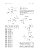 SUBSTITUTED PURINE NUCLEOSIDES, PHOSPHOROAMIDATE AND PHOSPHORODIAMIDATE     DERIVATIVES FOR TREATMENT OF VIRAL INFECTIONS diagram and image