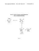 Spiro[2.4]heptanes for Treatment of Flaviviridae Infections diagram and image