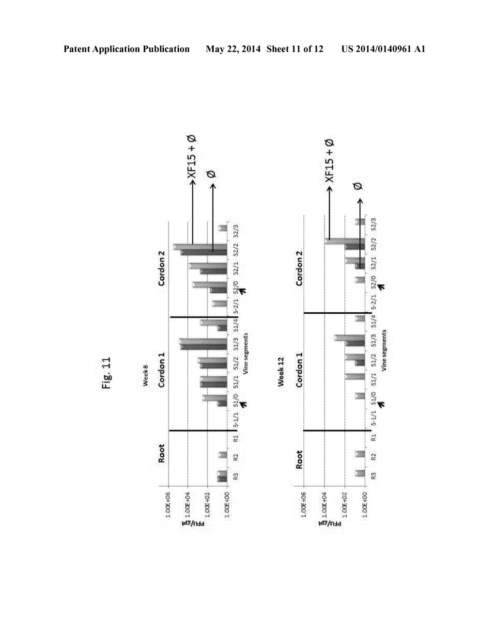 METHOD FOR TREATMENT AND CONTROL OF PLANT DISEASE - diagram, schematic, and image 12