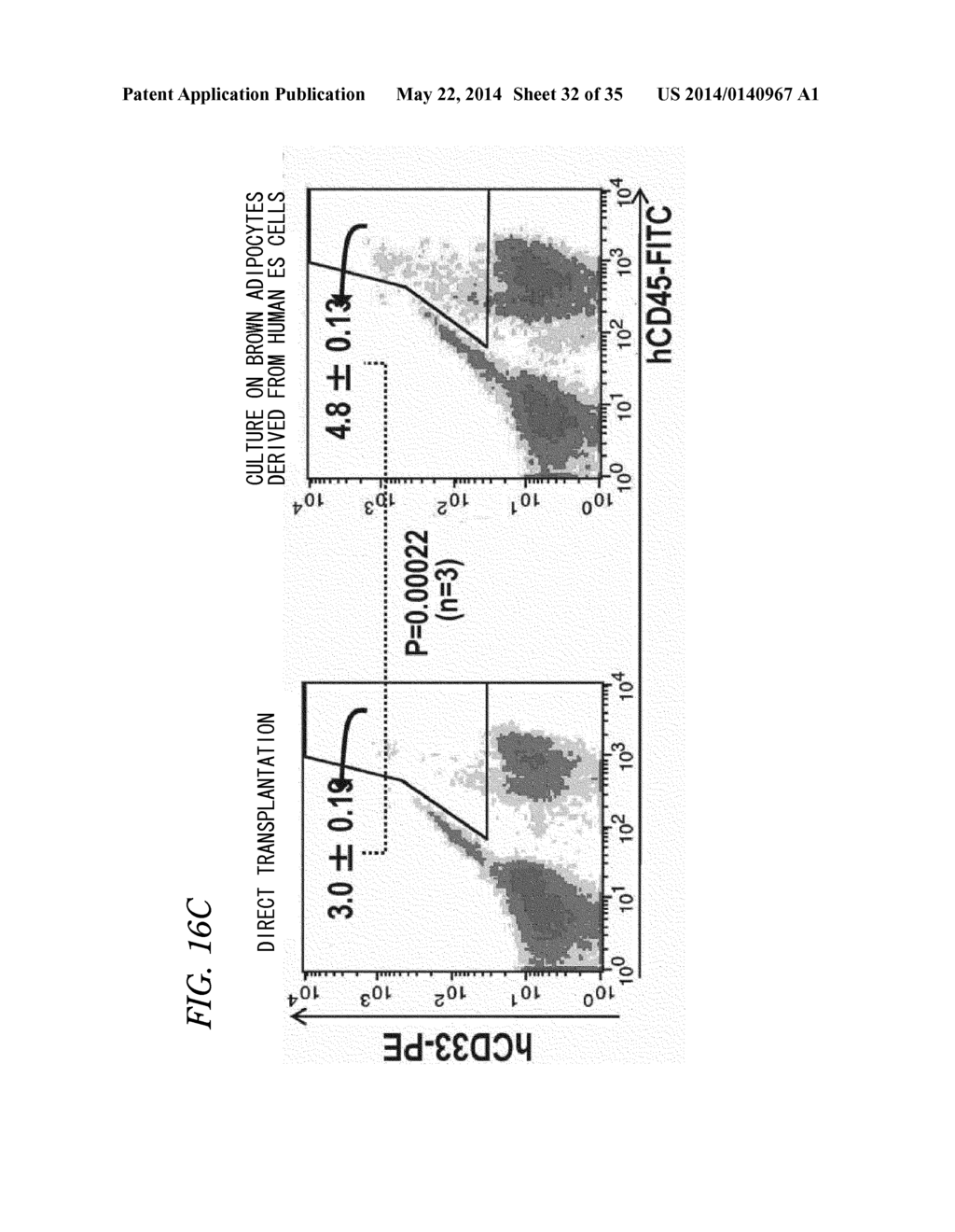 PLURIPOTENT STEM CELL-DERIVED BROWN ADIPOCYTES, PLURIPOTENT STEM     CELL-DERIVED CELL AGGREGATE, METHOD FOR PRODUCING SAME, AND CELL THERAPY     AND MEDICAL THERAPY THEREFOR - diagram, schematic, and image 33