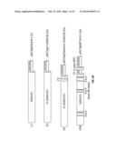 SERINE PROTEASE MOLECULES AND THERAPIES diagram and image