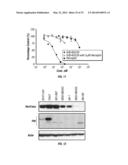 SERINE PROTEASE MOLECULES AND THERAPIES diagram and image