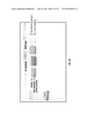 SERINE PROTEASE MOLECULES AND THERAPIES diagram and image