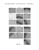 Manufacturing and Purification Processes of Complex Protein found in     Fraction IV to make a separated Apo, Transferrin, and Alpha 1 Anti     strepsin (A1AT) or A combined Transferrin/Apo/Human Albumin/A1AT and all     new found proteins diagram and image