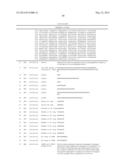 Bispecific EGFR/C-Met Antibodies diagram and image