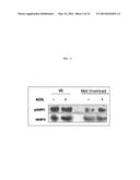 USE OF ADSL ACTIVATOR TO ACHIEVE GLYCEMIC CONTROL IN MAMMALS diagram and image