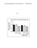 USE OF ADSL ACTIVATOR TO ACHIEVE GLYCEMIC CONTROL IN MAMMALS diagram and image