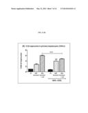 USE OF ADSL ACTIVATOR TO ACHIEVE GLYCEMIC CONTROL IN MAMMALS diagram and image