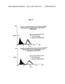 SINGLE-CHAIN MULTIVALENT BINDING PROTEINS WITH EFFECTOR FUNCTION diagram and image