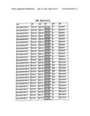 SINGLE-CHAIN MULTIVALENT BINDING PROTEINS WITH EFFECTOR FUNCTION diagram and image