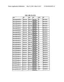 SINGLE-CHAIN MULTIVALENT BINDING PROTEINS WITH EFFECTOR FUNCTION diagram and image