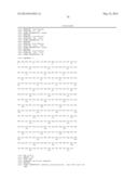 SINGLE-CHAIN MULTIVALENT BINDING PROTEINS WITH EFFECTOR FUNCTION diagram and image