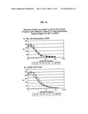 SINGLE-CHAIN MULTIVALENT BINDING PROTEINS WITH EFFECTOR FUNCTION diagram and image