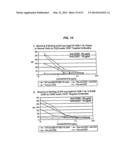 SINGLE-CHAIN MULTIVALENT BINDING PROTEINS WITH EFFECTOR FUNCTION diagram and image