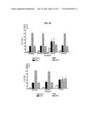 SINGLE-CHAIN MULTIVALENT BINDING PROTEINS WITH EFFECTOR FUNCTION diagram and image