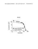 SINGLE-CHAIN MULTIVALENT BINDING PROTEINS WITH EFFECTOR FUNCTION diagram and image