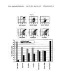 SINGLE-CHAIN MULTIVALENT BINDING PROTEINS WITH EFFECTOR FUNCTION diagram and image