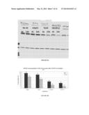 NOVEL ANTIGEN BINDING PROTEIN AND ITS USE AS ADDRESSING PRODUCT FOR THE     TREATMENT OF CANCER diagram and image