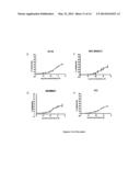 NOVEL ANTIGEN BINDING PROTEIN AND ITS USE AS ADDRESSING PRODUCT FOR THE     TREATMENT OF CANCER diagram and image