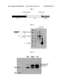 Expression Systems diagram and image